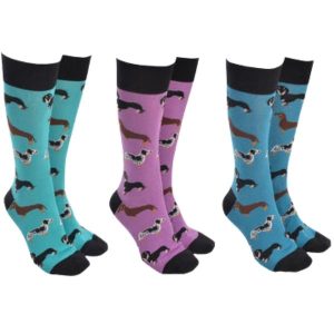 Sock Society Sausage Dogs Pack of 3