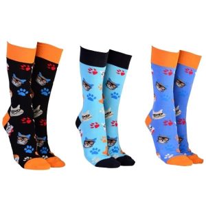 Sock Society Cat In Specs Pack of 3
