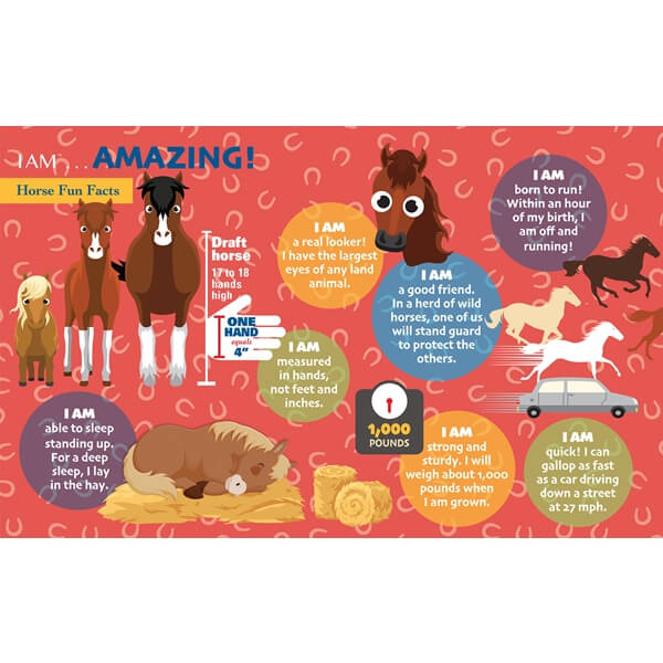 I Am Horse Puzzle 24Pc MADD CAPP - Image 3