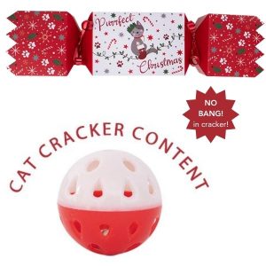 Christmas Cracker Cat